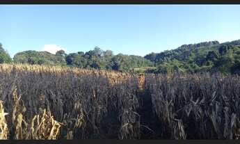 Imagem 5: Chácara em Santa Maria Do Herval na Localidade De Padre Eterno Ilges