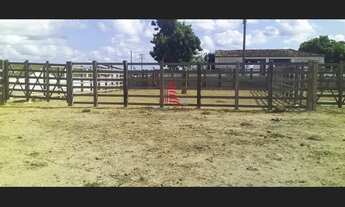 Imagem 2: Fazenda p/gado c/ 540 tarefas no Santa Luzia Itanhy no Povoado Bom Viver