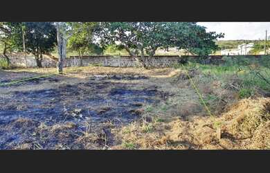 Imagem 4: Terreno à venda - Garanhuns -PE