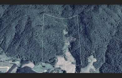 Imagem 2: Área Rural à venda para Compensação Ambiental em Santa Terezinha SC
