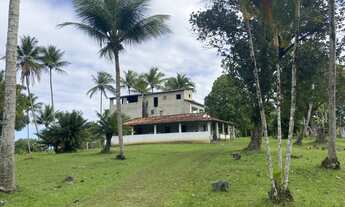 Imagem: Fazenda em jaguaripe