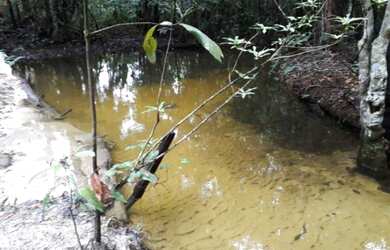 Imagem 2: Fazenda com 575 hectares de mata documentada no Pará por R$1,2 milhões