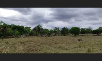 Imagem 4: Fazenda com 1.162 Hectares, com 500 Hectares aberta e formada, Chapada dos Guimaraes
