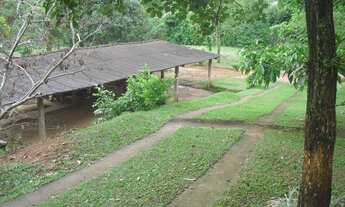 Imagem 6: Chácara em Manhumirim