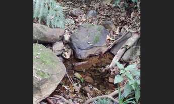 Imagem 2: Propriedade em Alto Caparaó MG