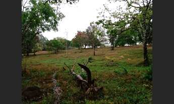 Imagem 3: Fazenda de 25 ha em Itaguara