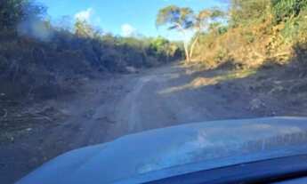 Imagem: 1.611 Alqs Bruta Safra e Safrinha Timom