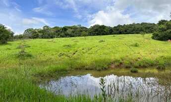 Imagem 7: Fazenda de 110 há em Passa Tempo MG