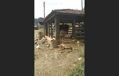 Imagem 3: Chácara bem localizada!!