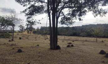 Imagem 7: Sitio 30 Alqueires Em São Carlos SP a Venda