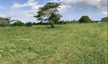 Imagem 3: Fazenda em Teodoro Sampaio