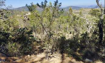 Imagem 5: Terreno de 47 há em Itaguara MG