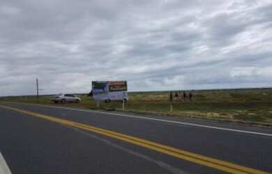 Imagem 4: Terreno ao lado da Arvore Penteada