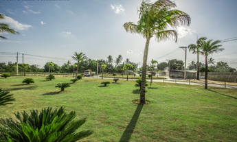 Imagem 7: LOTES NO VILLAGE DAMHA I - FEIRA DE SANTANA