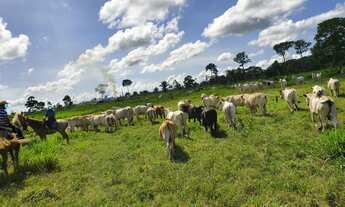 Imagem 2: Fazenda em União Bandeirantes