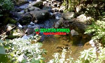 Imagem 3: Sítio de 02 alqueires em Caraguatatuba