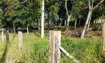 Imagem 5: Vendo lote com 1426 m2 (31x46) em Teixeira Soares, Paraná