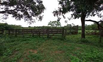 Imagem: Vende-se sítio em chapada dos Guimarães