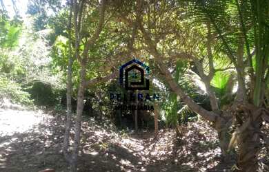 Imagem 2: Chácara no Sul da Bahia