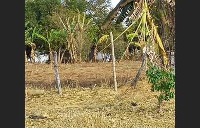 Imagem 5: Vendo terra de 3 alqueires em Adelandia-Go. Informações whatsapp (62)99332-8000