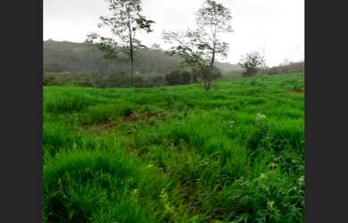 Imagem 2: Terreno para Empreendimentos em Filadélfia - 14.200 m²