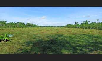 Imagem 7: Área a venda com casa sede com quase 26.000m² em Barcarena