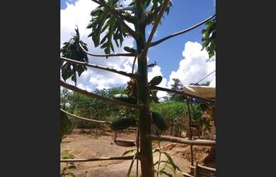 Imagem 6: Meu sonho Chácara com 2 dormitórios