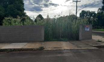 Imagem 6: Terreno privilegiado e exclusivo para venda no Distrito de Progresso