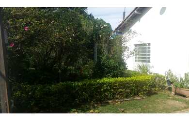 Imagem 3: Vende-se Chácara formada