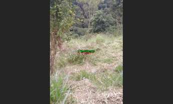 Imagem 5: Chácara plana em Caçapava 1 hectare