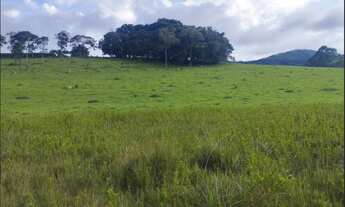 Imagem 4: Terreno de 8 há em Itaguara MG