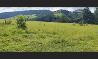 Imagem 3: Terreno Prox ao Horto florestal com escritura