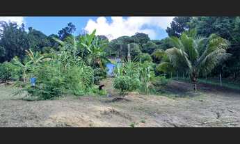 Imagem 6: Mine sítio Fazenda / sítio com 2 dormitórios