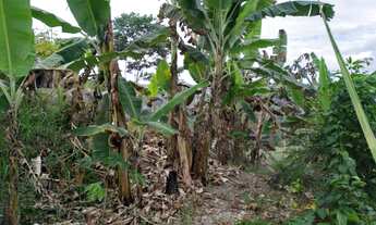 Imagem 7: Terreno em Pacaraima