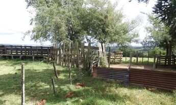 Imagem 6: Fazenda em parauapebas