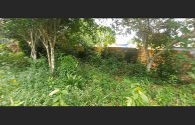 Imagem 10: Vendo terreno/chácara no Águas claras. Manaus_AM