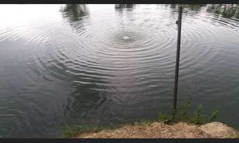 Imagem: Chácara de 5 Alqueires em Varjão