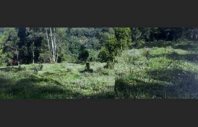 Imagem 3: Chácara à venda em Poços de Caldas, 20.000m², Bairro Colinas