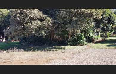 Imagem 4: Terreno - Alagado Nova Prata do Iguaçu