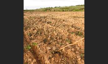 Imagem 7: 720 Alqs Ótima Água Terra e Logística Região Mansinha TO