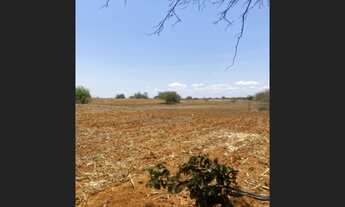 Imagem 2: Vende-se uma tarefa ém mocozeiro 2