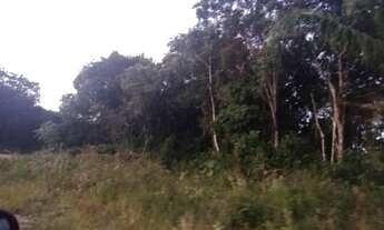 Imagem 2: Terreno em Itanhaém - 10.000 m2 - Lado Serra 10 min. da Rodovia - R$ 160.000