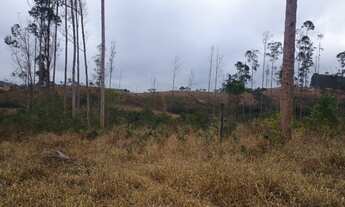 Imagem 7: Fazenda de 71 há em São Tiago MG