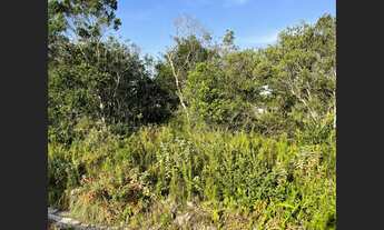 Imagem 6: Terreno em Itanhaém - R$ 12.000,00 de entrada + parcelas , direto com a loteadora