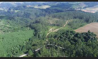 Imagem 5: Terreno para Sítio à Venda 33,2 Hectares Semi Plano em Salete SC