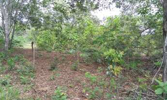 Imagem 3: Terreno Terreno / lote com venda por R$60.000