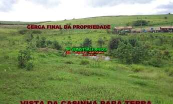 Imagem 3: Chácara plana em Caçapava 1 hectare