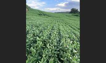 Imagem 2: Sítio à venda no Paraná