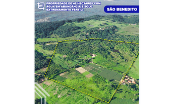 Imagem: OPORTUNIDADE ÚNICA 46 HECTARES COMPLETOS