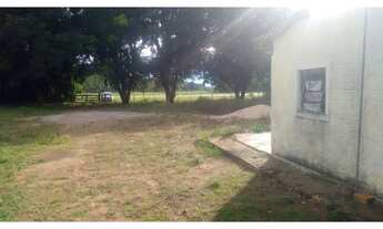 Imagem 6: Vendo!!!, fazenda com 149 Hectares na região da cidade de Rondonópolis-Mato Grosso-MT